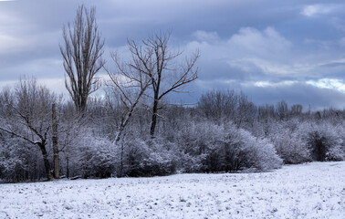beautiful winter scenery with snow