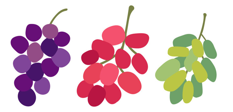 Set Grape Icons Food Fruits, bunches of grapes icons editable stroke, flat design style isolated on white. Flat vector red, green, blue grapes branch logo. 
