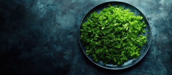 Fresh organic green lettuce on a rustic plate with ample copy space for text in a dark, moody setting ideal for culinary or gardening themes