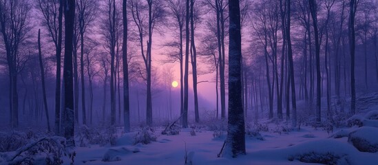 Serene winter forest landscape at twilight with a violet sunset and ample space for text or overlay designs