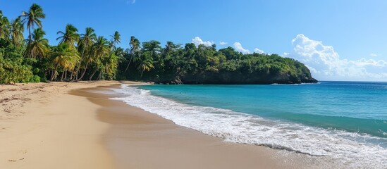 Fototapeta premium Caribbean beach paradise featuring golden sands turquoise waters and lush palm trees ideal for tropical vacation themed designs