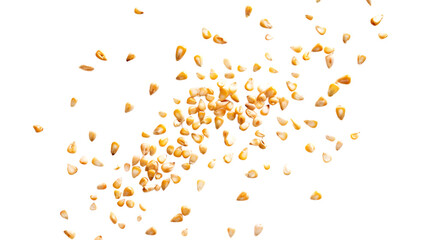 Flying corn kernels mid-motion, isolated on white background 