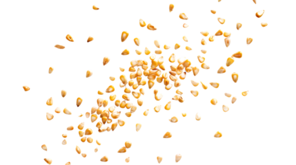 Flying corn kernels mid-motion, isolated on white background 