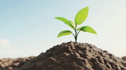 New plant growing from fertile soil under sunlight.