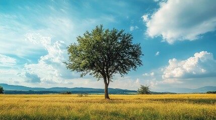 Fototapeta premium The sight of a tree standing alone in a field, strong and unyielding, a symbol of endurance and independence