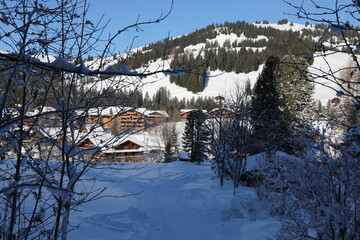 Hiking between Gstaad and Saanenmoser