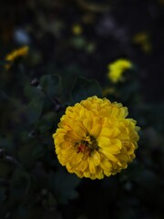 CameraID=0.FrameCount=0.configID=191.lutID=.lutFilename=.configFilename=AGC9.2?Jason0903_EN.agc.configNickname=JasOn.W.profileID=6.profileName=?? Dark Macro.Version=AGC9.2 V13.0