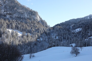 Snowy landscape in Switzerland