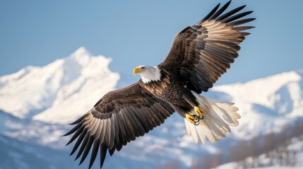 Majestic bald eagle soaring over snow-capped mountains