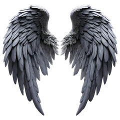 Obraz premium Soft and realistic angel wings displayed in detailed design for art or costume inspiration