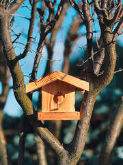 bird house on tree, helping  and caring birds 