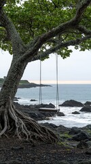 Fototapeta premium Scenic Coastal Tree Swing by Ocean with Dramatic Rocky Shoreline at Dusk, Trees, Waves, Serene Nature Landscape, Quiet Coastal Escape, Atmospheric View