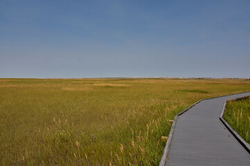 Wooden Boardwalk with Grasslands in Rural South Dakota