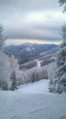 Obraz premium Scenic winter landscape with snow-covered mountains and trees under a cloudy sky