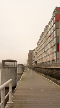 foggy boardwalk