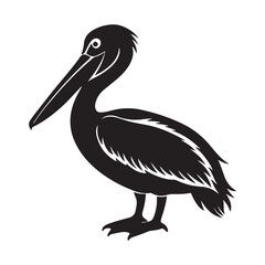 Obraz premium Pelican Bird silhouette, black and white silhouette, vector and&nbsp;illustration