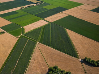 Vista aérea de tierras cultivadas 