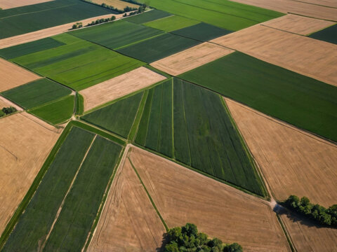 Vista a&eacute;rea de tierras cultivadas
