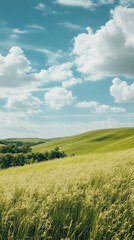 Obraz premium green grassland landscape 