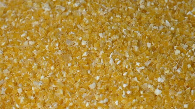 Corn groats in close-up. Crushed small grains of yellow corn for making polenta porridge and corn bread.