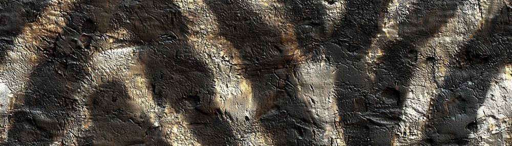 Poster abstract textural background featuring rich, earthy tones with dynamic patterns and organic shapes o