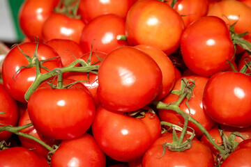 Ripe red tomatoes