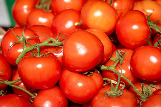 Ripe red tomatoes