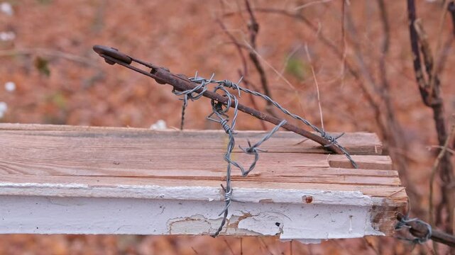 Old Barbed Wire Fence with Sharp Spikes