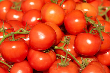 Pile of ripe and jiucy fresh tomatoes