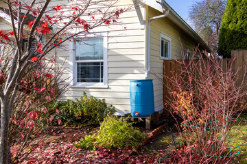 Rain barrel on gutter for garden
