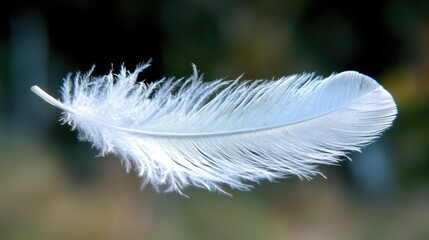 Single white feather floating against blurred background.