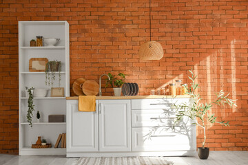 Interior of kitchen with white counters, shelf unit and plants