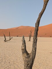 namibian dessert