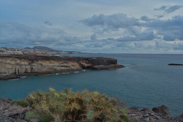 Coastline of Costa Adeje, Tenerife, featuring a vibrant blue bay, green cacti in the foreground, and a distant town under a cloudy sky. Perfect for travel, nature, and island-inspired designs