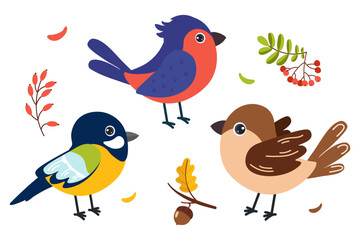Colorful cartoon birds in autumn setting with leaves and berries