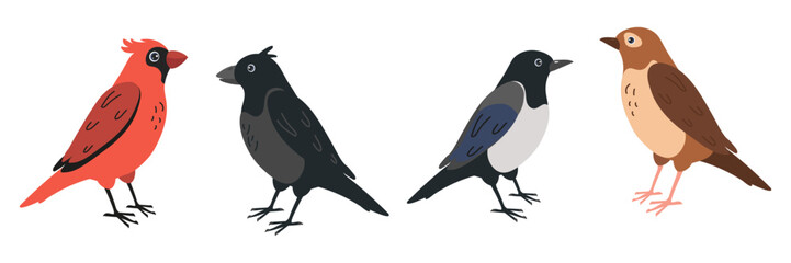 Obraz premium Colorful birds perched in a row showcasing diverse plumage and features