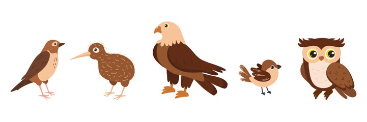 Different types of birds in a cartoon style with unique characteristics and colors