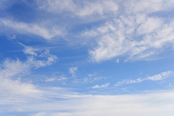 Obraz premium 空