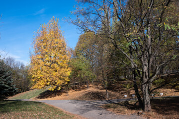 Landscape of South Park in city of Sofia, Bulgaria