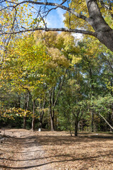 Fototapeta premium Landscape of South Park in city of Sofia, Bulgaria