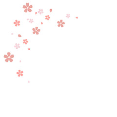 Spring flower blossom 