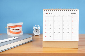 March monthly desk calendar for 2025 year and model dentures on the table.