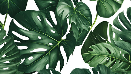 A focused depiction of a tropical green monstera leaf offers a lush backdrop, making it an excellent choice for a flat lay design and a fresh wallpaper banner