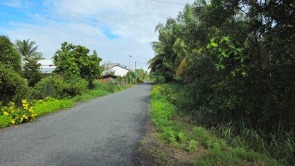 A narrow village path in countryside of Mang Thit district, Vinh Long province, Mekong Delta Vietnam in the morning.
