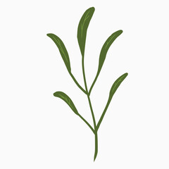 green leaf design art vector