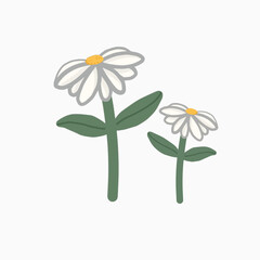 beautiful daisy flowers design art