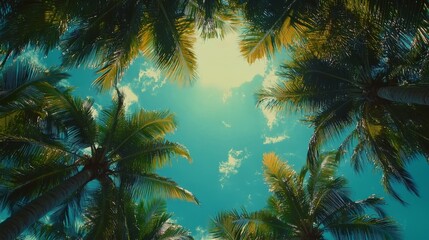 72.Sun-drenched view from beneath coconut palms, their lush leaves creating a canopy under a radiant blue sky; the scene is serene and warm, with shadows and light interplaying to convey a peaceful