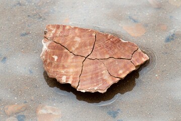 Obraz premium Close-up of a cracked, red stone fragment in shallow water.