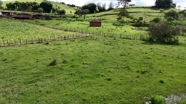 Minas Gerais