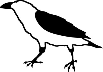 Bird Raven Crow Black Silhouette for Icon.